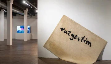 Aklımda Bir Şey Vardı, Vazgeçtim
